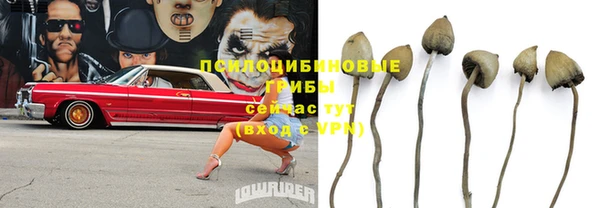 прущая мука Белокуриха