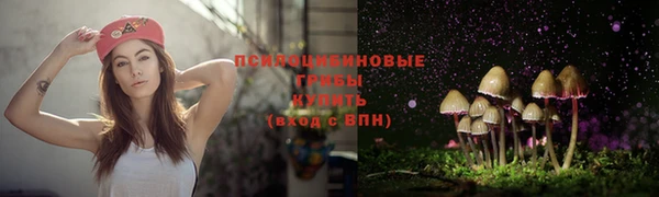 каннабис Дмитриев