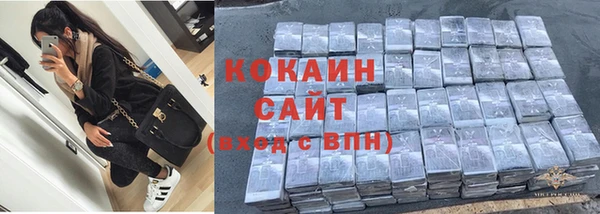 гашик Белоозёрский